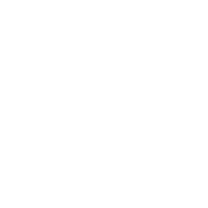 link to LDMT on Twitter